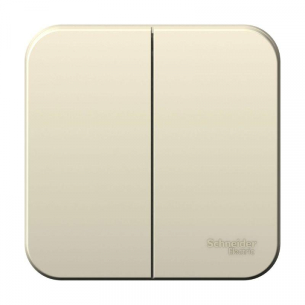 Выключатель 2-кл. ОП Blanca 10А IP20 (сх. 5) 250В с изолир. пластиной молочн. SE BLNVA105012