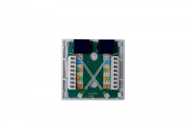 Розетка компьютерная 8P8C (RJ-45) кат.5E UTP 2 порта TOKOV ELECTRIC TKE-SMB-8P8C-2P-UTP
