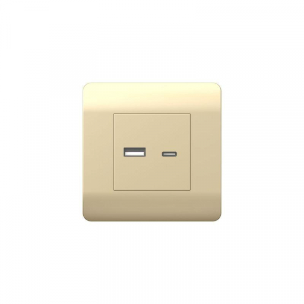 Розетка USB NEW3-E тип A+C 5В/2.1А шампань CHINT 431450