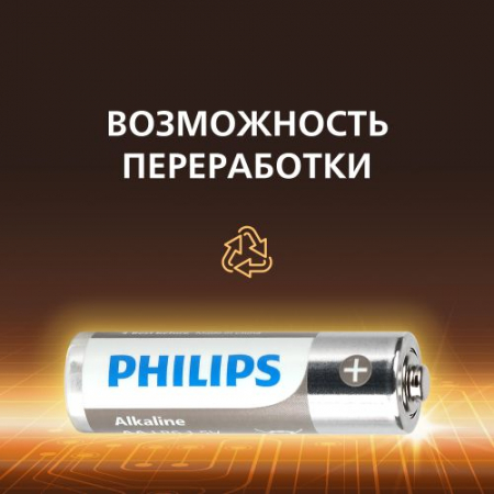 Элемент питания алкалиновый AA/LR6 1.5В Entry отрывной набор (блист.12шт) LR6A12S/51 Philips Б0064636