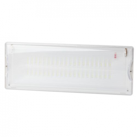 Светильник светодиодный DPA-301-0-65 IP65 40LED 3ч аварийный непостоянный Проектный Эра Б0044405